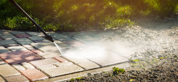 Best Fence Cleaning  in Stony Point, MI